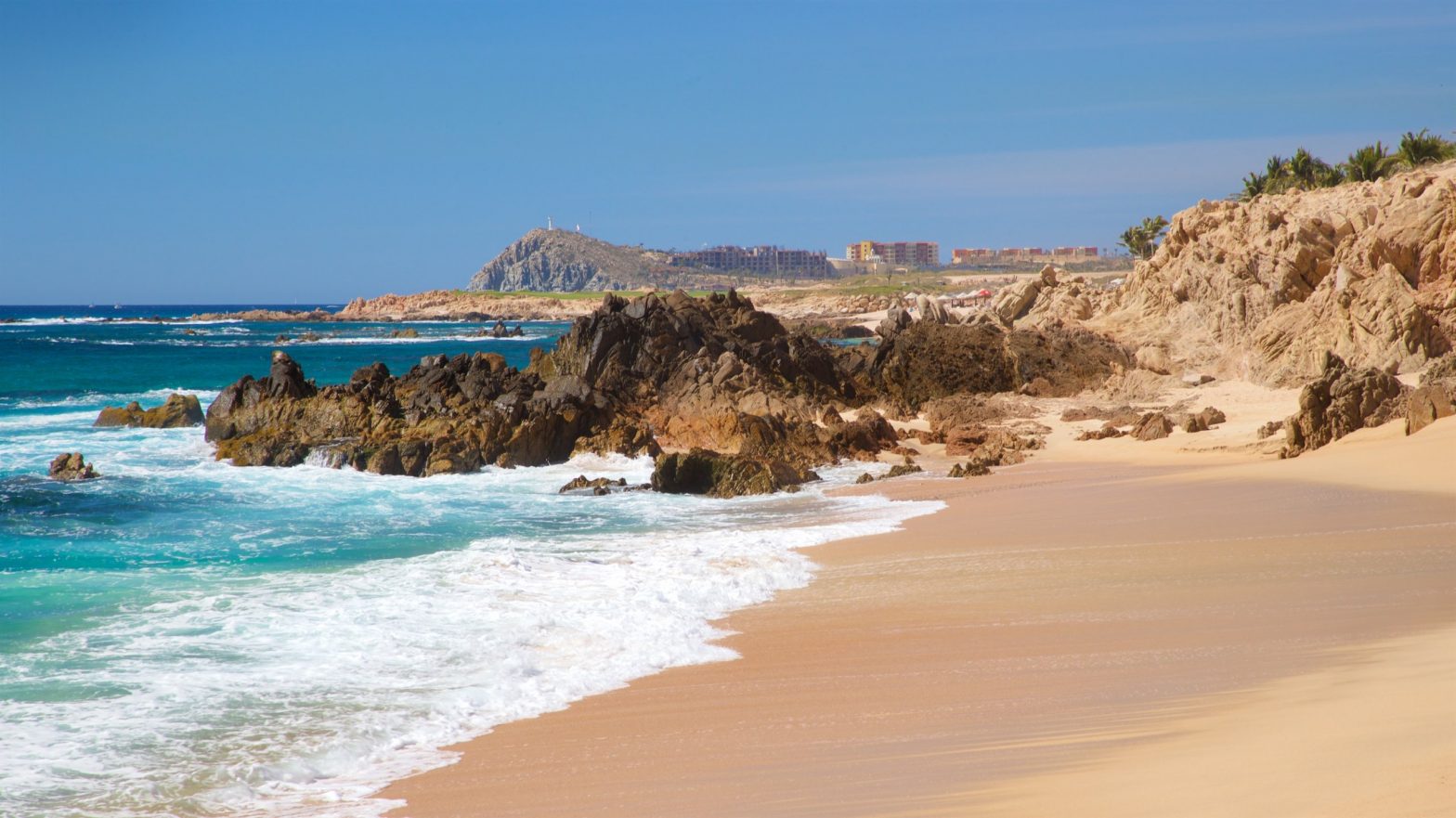 Los Cabos best Beaches